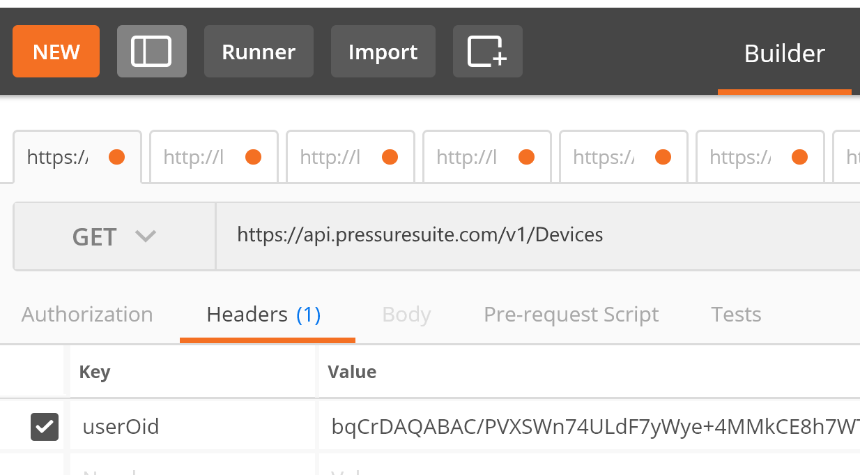 Postman and permanent Access Token